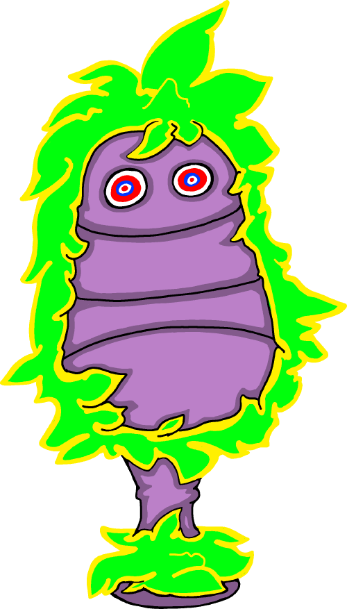 A field image of Floosh.