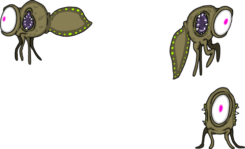 A field image of Daledus.