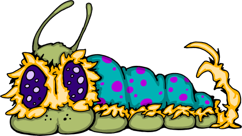 A field image of Northwestern Speckled Metapede.
