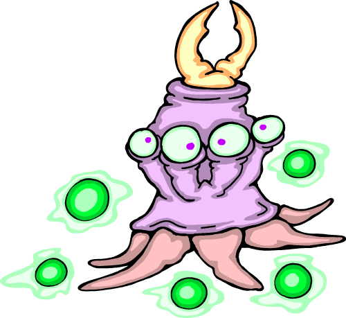 A field image of Rickabob.